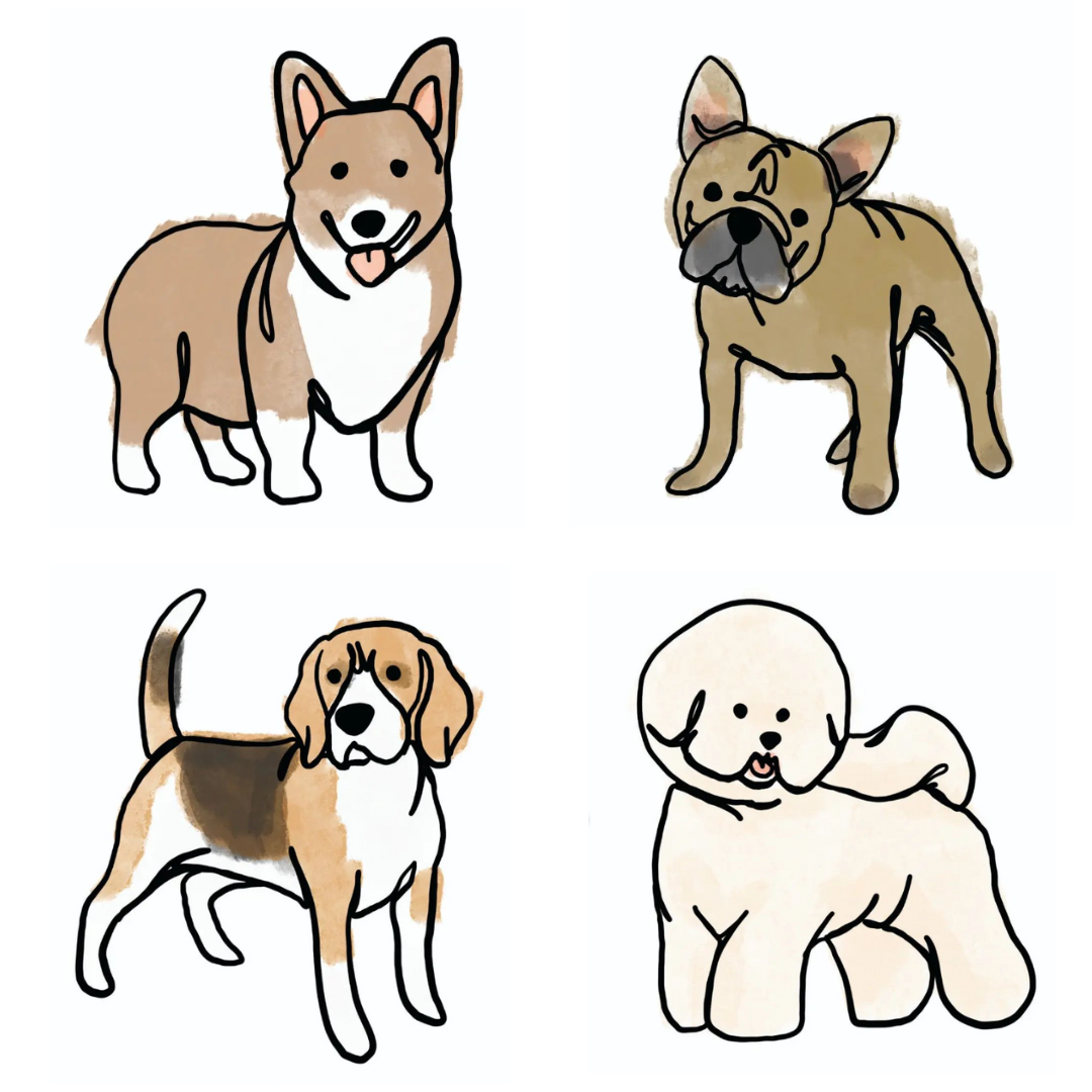 Dog illustrations by Desiree Smith.